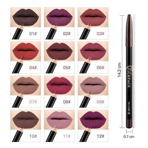 12 Colors Professional Lips Makeup